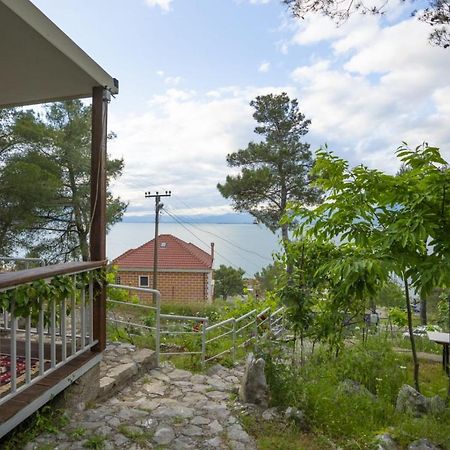 Among The Trees Villa Široka Eksteriør bilde