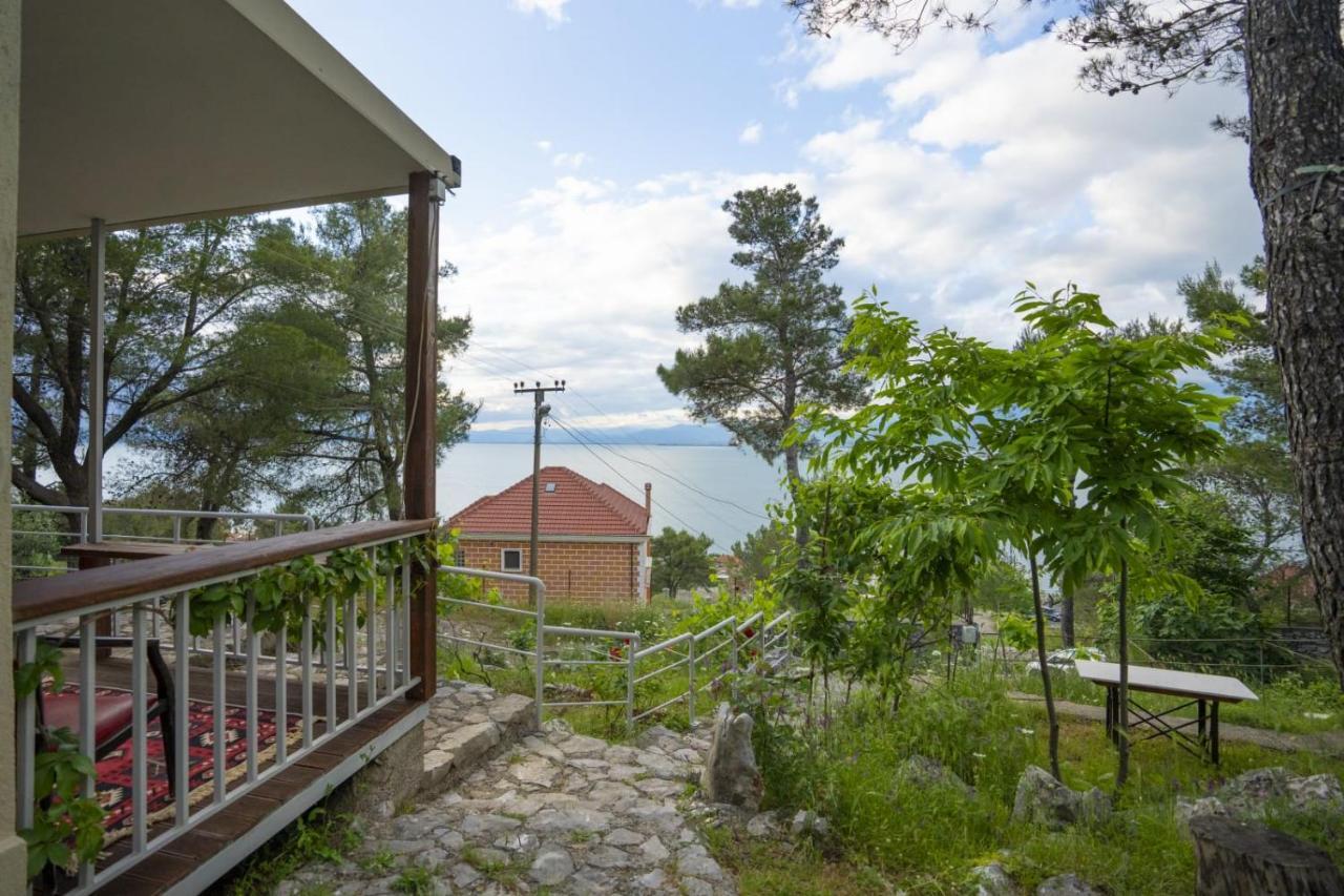 Among The Trees Villa Široka Eksteriør bilde