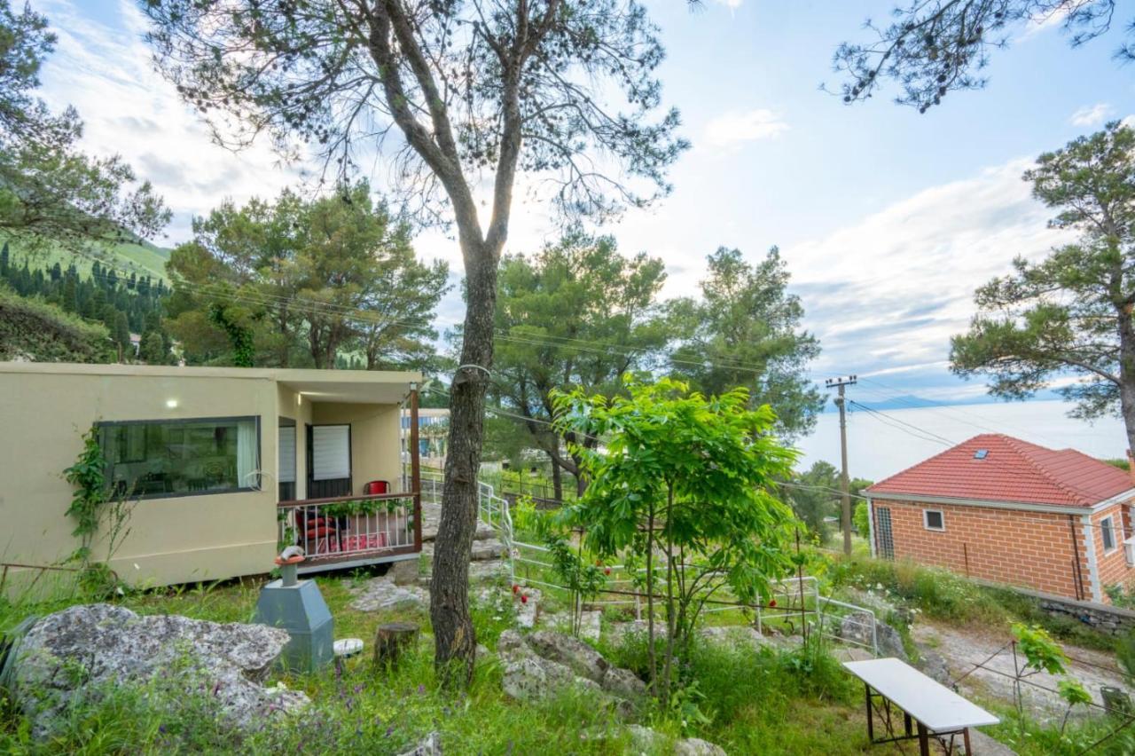 Among The Trees Villa Široka Eksteriør bilde