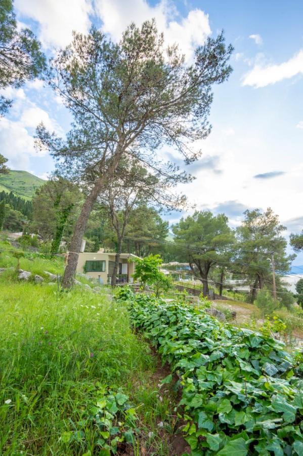 Among The Trees Villa Široka Eksteriør bilde