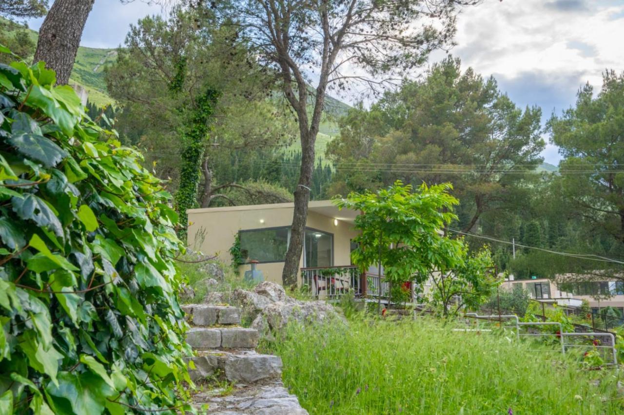 Among The Trees Villa Široka Eksteriør bilde
